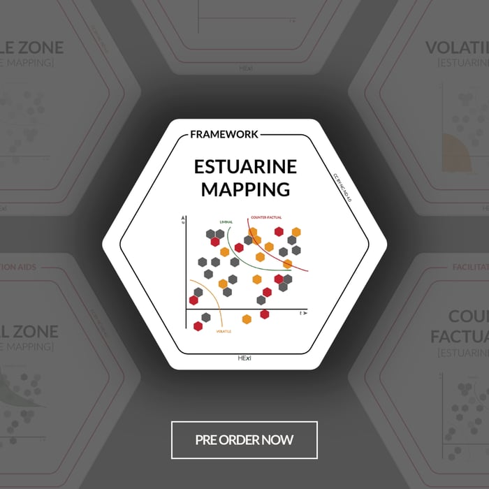 hexi-estuarine-mapping-pre-order-cover